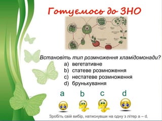 Готуємось до ЗНО
Встановіть тип розмноження хламідомонади?
a) вегетативне
b) статеве розмноження
c) нестатеве розмноження
d) брунькування
а b c d
Зробіть свій вибір, натиснувши на одну з літер a – d.
 
