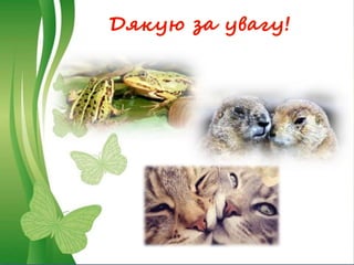 Дякую за увагу!
 