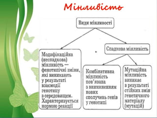 Мінливість
 
