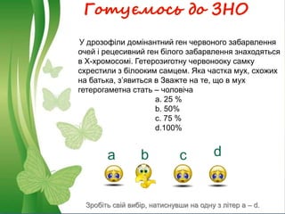 Готуємось до ЗНО
а b c d
У дрозофіли домінантний ген червоного забарвлення
очей і рецесивний ген білого забарвлення знаходяться
в Х-хромосомі. Гетерозиготну червонооку самку
схрестили з білооким самцем. Яка частка мух, схожих
на батька, з’явиться в Зважте на те, що в мух
гетерогаметна стать – чоловіча
a. 25 %
b. 50%
c. 75 %
d.100%
Зробіть свій вибір, натиснувши на одну з літер a – d.
 