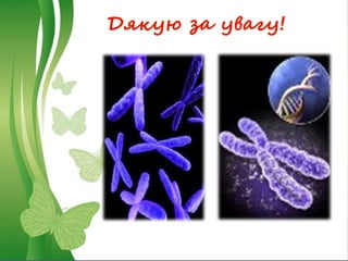 Дякую за увагу!
 