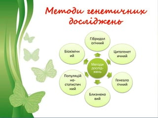 Методи генетичних
досліджень
Методи
дослід-
жень
Гібридол
огічний
Цитогенет
ичний
Генеало
гічний
Близнюко
вий
Популяцій
но-
статистич
ний
Біохімічн
ий
 