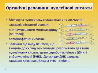 органічні речовини клітини | PPT