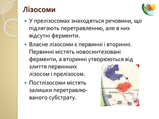  У прелізосомах знаходяться речовини, що
підлягають перетравленню, але в них
відсутні ферменти.
 Власне лізосоми є первинні і вторинні.
Первинні містять новосинтезовані
ферменти, а вторинні утворюються від
злиття первинних
лізосом і прелізосом.
 Постлізосоми містять
залишки перетравлю-
ваного субстрату.
Лізосоми
 