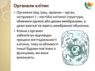 Органели клітин
 Органели (від грец. органон – орган,
інструмент ) – постійні клітинні структури,
обмежені однією або двома мембранами, а
деякі взагалі не мають мембранної оболонки.
 Кожна з органел
забезпечує відповідні
процеси життєдіяльності
клітини, тому особливості
їхньої будови пов’язані з
функціями, які вони
виконують.
 