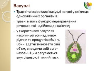  Травні та скоротливі вакуолі наявні у клітинах
одноклітинних організмів:
- травні мають функцію перетравлення
речовин, які надійшли до клітини;
- у скоротливих вакуолях
накопичується надлишок
рідини та продуктів обміну.
Вони здатні змінювати свій
об’єм, виводячи свій вміст
назовні. Цим регулюється
внутрішньоклітинний тиск.
Вакуолі
 