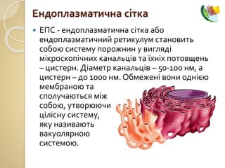  ЕПС - ендоплазматична сітка або
ендоплазматичний ретикулум становить
собою систему порожнин у вигляді
мікроскопічних канальців та їхніх потовщень
– цистерн. Діаметр канальців – 50-100 нм, а
цистерн – до 1000 нм. Обмежені вони однією
мембраною та
сполучаються між
собою, утворюючи
цілісну систему,
яку називають
вакуолярною
системою.
Ендоплазматична сітка
 