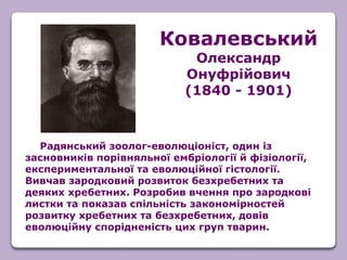 Радянський зоолог-еволюціоніст, один із
засновників порівняльної ембріології й фізіології,
експериментальної та еволюційної гістології.
Вивчав зародковий розвиток безхребетних та
деяких хребетних. Розробив вчення про зародкові
листки та показав спільність закономірностей
розвитку хребетних та безхребетних, довів
еволюційну спорідненість цих груп тварин.
Ковалевський
Олександр
Онуфрійович
(1840 - 1901)
 