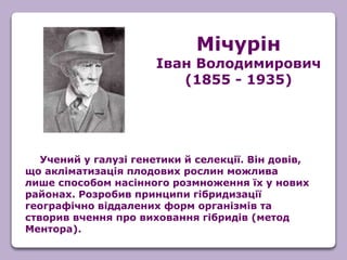Учений у галузі генетики й селекції. Він довів,
що акліматизація плодових рослин можлива
лише способом насінного розмноження їх у нових
районах. Розробив принципи гібридизації
географічно віддалених форм організмів та
створив вчення про виховання гібридів (метод
Ментора).
Мічурін
Іван Володимирович
(1855 - 1935)
 