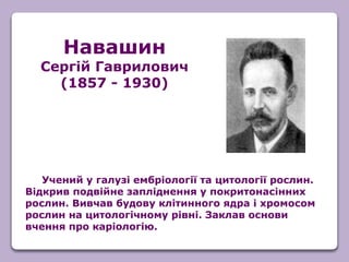 Учений у галузі ембріології та цитології рослин.
Відкрив подвійне запліднення у покритонасінних
рослин. Вивчав будову клітинного ядра і хромосом
рослин на цитологічному рівні. Заклав основи
вчення про каріологію.
Навашин
Сергій Гаврилович
(1857 - 1930)
 
