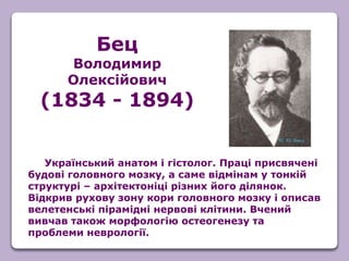 Український анатом і гістолог. Праці присвячені
будові головного мозку, а саме відмінам у тонкій
структурі – архітектоніці різних його ділянок.
Відкрив рухову зону кори головного мозку і описав
велетенські пірамідні нервові клітини. Вчений
вивчав також морфологію остеогенезу та
проблеми неврології.
Бец
Володимир
Олексійович
(1834 - 1894)
 