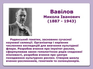 Радянський генетик, засновник сучасної
наукової селекції. Організатор і керівник
численних експедицій для вивчення культурної
флори. Розробив вчення про імунітет рослин,
сформулював закон гомологічних рядів спадкової
мінливості, розробив вчення про центри
походження культурних рослин. Створив школу
вчених-рослинників, генетиків та селекціонерів.
Вавілов
Микола Іванович
(1887 - 1943)
 