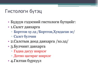 Гистологи бүтэц
• Бүдүүн гэдэсний гистологи бүтцийг:
• 1.Салст давхарга
▫ Бортгон ху.эд /Бортгон,Хундаган эс/
▫ Салст булчин
• 2.Салстын доод давхарга /хо.эд/
• 3.Булчинт давхарга
▫ Гадна дагуу ширхэг
▫ Дотно цагираг ширхэг
• 4.Гялтан бүрхүүл
 