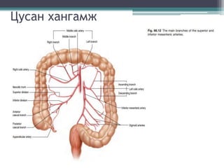 Цусан хангамж
 