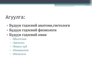 Агуулга:
• Бүдүүн гэдэсний анатоми,гистологи
• Бүдүүн гэдэсний физиологи
• Бүдүүн гэдэсний өмөн
▫ -Шалтгаан
▫ -Ангилал
▫ -Эмнэл зүй
▫ -Оношилгоо
▫ -Эмчилгээ
 