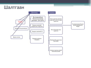 Шалтгаан
Дотоод
Булчирхайлаг
болон цэлмэнт
ургацаг /40-50%/
Бүдүүн гэдэсний
өвөрмөц бус шархлаа
Бүдүүн гэдэсний АҮ
Хуурамч үрэвсэл
хавдрууд
Полипоз
/100%/
Өргөсөл ба цүлхэнгүүд
Кроны өвчин
Гадаад
Хоол хүнсэнд амьтны
гаралтай өөх тос уураг
хэрэглэх
Эслэг багатай хоол
хэрэглэх
Идэвхитэй хөдөлгөөн
бага байх
Ахимаг нөасны хүний
гипотони,атони
N-нитрозамин болон
бусад канцероген
бодис
 