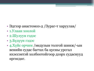 • Эдгээр анастомоз-д /Зураг-т харуулав/
• 1.Улаан хоолой
• 2.Шулуун гэдэс
• 3.Бүдүүн гэдэс
• 4.Хүйс орчим /медузын толгой шинж/-ын
венийн судас багтах ба цусны урсгал
ихэссэнтэй холбоотойгоор дээрх судаснууд
өргөсдөг.
 