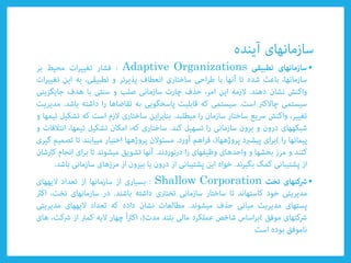 •Adaptive Organizations
•Shallow Corporation
 