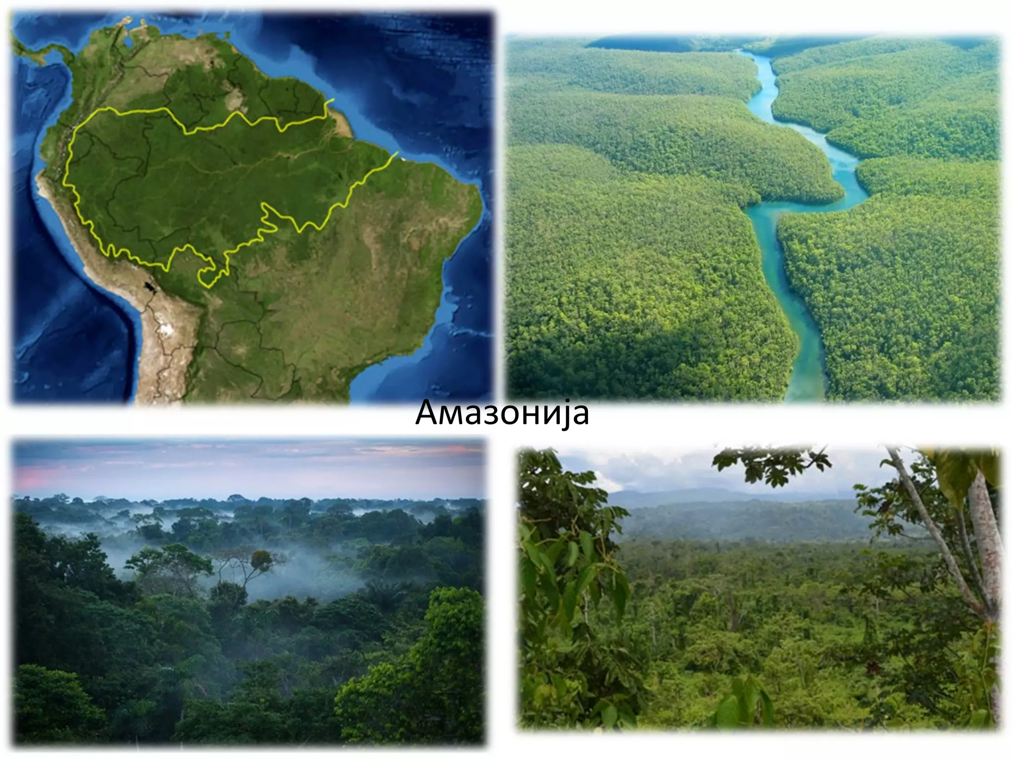 Амазонија
 