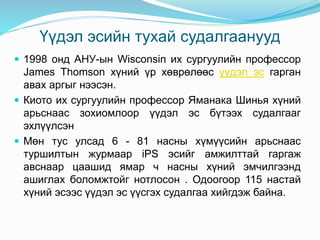 Үүдэл эс | PPT