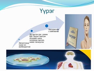 Үүдэл эс | PPT