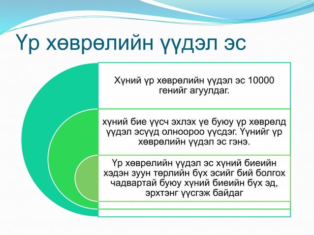 Үүдэл эс | PPT