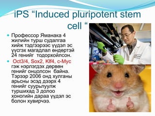 iPS “Induced pluripotent stem
cell “
 Профессор Яманака 4
жилийн турш судалгаа
хийж тэдгээрээс үүдэл эс
үүсгэх магадлал өндөртэй
24 генийг тодорхойлсон.
 Oct3/4, Sox2, Klf4, c-Myc
гэж нэрлэгдэх дөрвөн
генийг онцолсон байна.
Тэрээр 2006 онд хулганы
арьсны эсэд дээрх 4
генийг суурьлуулж
туршихад 3 долоо
хоногийн дараа үүдэл эс
болон хувирчээ.
 
