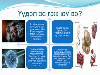 Үүдэл эс гэж юу вэ?
А. Максимов
цусны эсийн
судалгаа хийж
байх явцдаа
1908 онд анх
илрүүлсэн
байдаг.
Үүдэл эс нь
бусад бүх
төрлийн эсийг
үүсгэгч нь юм.
Өвдөх, гэмтэх
тохиолдолд
бидний биед
байх эсүүд мөн
гэмтэж, үхдэг.
Энэ үед үүдэл эс
идэвхжиж
эхэлдэг.
Эрдэмтэд,
судлаачдын үзэж
байгаагаар хүний
биеийн эрхтэн бүр
өөр өөрийн үүрэг
ба бүтцэд
тохирсон үүдэл
эстэй юм.
 