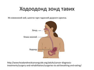ходоодны хэт-суналт | PPT
