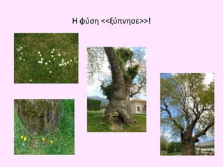 Η φύση <<ξύπνησε>>!
 
