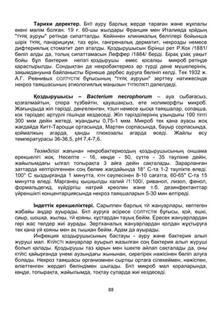 88
Тарихи деректер. БҰЛ ауру барлық жерде тараған және жұкпалы
екені мәлім болған. 19 ғ. 60-шы жылдары Франция мен Италияда қойдың
"ТҰЯҚ ауруы" ретінде сипатталды. Кейіннен клиникалық белгілері бойынша
шірік ТҰЯҚ, панарициум, таз ерін, гангреналық дерматит, некрозды немесе
дифтериялық стоматит деп аталды. Қоздырушысын бірінші рет Р.Кох /1881/
бөліп алды да, толық сипаттамасын Леффер /1884/ берді. Бірақ ұзақ уақыт
бойы бұл бактерия негізгі қоздырушы емес қосалқы микроб ретіңде
қарастырылды. Сондықтан да некробактериоз әр түрді дене мүшелерінің,
зақымдануына байланысты бірнеше дербес ауруға бөлініп келді. Тек 1932 ж.
А.Г. Ревнивых СОЛТҮСТІК бұғысының "ТҰЯҚ ауруын" зерттеу нәтижесінде
некроз таяқшасының этиологиялық маңызын ТҮПКІЛІКТІ дәлелдеді.
Қоздырушысы – Bacterium necrophorum – ауа сыбағасыз,
қозғалмайтын, спора түзбейтін, қауашақсыз, өте нолиморфты микроб.
Жағындыда жіп тәрізді, дөңгеленген, ҰЗЫН немесе қысқа таяқшалар, сопақша,
кок тәріздес әртүрлі пішінде кездеседі. Жіп тәрізділерінің ұзындығы 100 тіпті
300 мкм дейін жетеді, жуандығы 0,75-1 мкм. Микроб тек қана ауасы жоқ
жағдайда Китт-Тароцци ортасында, Мартен сорпасында, бауыр сорпасында,
қоймалжың агарда, қанды глюкозалы агарда өседі. Жайлы өсу
температурасы 36-36,5, рН 7,4-7,6.
Төзімділігі жағынан некробактериоздың қоздырушысының оншама
ерекшелігі жоқ. Несепте - 16, көңде - 50, сүтте - 35 тәулікке дейін,
жайылымдағы ылғал топырақта 3 айға дейін сақталады. Зарарланған
заттарда кептірілгеннен соң бөлме жағдайында 18° С-та 1-2 тәулікте өледі.
100° С қыздырғанда 1 минутта, КҮН сәулесінен 8-10 сағатга, 60-65" С-та 15
минутта өледі. Марганец қышқылды калий /1:100/, риванол, лизол, фенол,
формальдегид, күйдіргіш натрий креолин және т.б. дезинфектанттар
үйреншікті концентарциясында некроз таяқшаларын 5-30 мин өлтіреді.
Індеттік ерекшеліктері. Сарыппен барлық ҮЙ жануарлары, көптеген
жабайы аңдар ауырады. БҰЛ ауруға әсіресе СОЛТҮСТІК бұғысы, қой, ешкі,
сиыр, шошқа, жылқы, ҮЙ қояны, кұстардан тауық бейім. Ересек жануарлардан
гөрі жас төлдер жиі аурады. Зертханалық жануарлардан қолдан жұқтыруға
тек қана үй қояны мен ақ тышқан бейім. Адам да ауырады.
Инфекция қоздырушысының бастауы - ауру және бактерия алып
жүруші мал. КҮЙІСТІ жануарлар ауырып жазылған соң бактерия алып жүруші
болып қалады. Қоздырушы таз қарын мен ішекте айлап сақталады да, оны
КҮЙІС қайырғанда үнемі аузындағы жынынан, сирегірек нәжісінен бөліп алуға
болады. Некроз таяқшасы организмнен сыртқы ортаға сілекеймен, нәжіспен,
өліеттенген жердегі бөліндімен шығады. БҰЛ микроб мал қораларында,
көңде, топырақта, жайылымда, тоқтау суларда жиі кездеседі.
Қоздырушы жануар денесіне жарақаттанған тері немесе кілегейлі
қабықтар арқылы енеді. Аурудың берілу қарқыны мен таралу ауқымына әсер
 