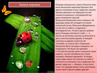 Посреди прекрасного, яркого Божьего мира
жила маленькая серенькая букашка. Все
другие насекомые очень гордились своими
яркими цветами и не обращали на неё
никакого внимания, а колорадский жук
даже насмехался над ней.
Маленькая букашечка очень горевала. Но
однажды утром её погладил по спинке
солнечный лучик. Малышка обрадовалась,
что её кто-то любит, и подумала с
благодарностью: «Я могу сделать доброе
дело! Очищука листики от тлей», — и
листик за листиком, веточка за веточкой за
день очистила целое дерево. И каждый
листочек на дереве зашептал ей:
«Спасибо, ты спасла нас!» Серенькая
букашечка была так рада и смущена, что
покраснела. Это было так красиво!
С тех пор она всегда сияла и излучала такую
радость, что все полюбили её и стали
называть «божьей коровкой». И теперь,
когда люди просят её полететь на небо и
исполнить их желание, она с радостью это
делает, ведь она — «Божья», и она точно
знает, что каждый может стать счастливым,
нужно просто делать добро другим!
Божья коровка
 