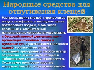 Распространение клещей, переносчиковРаспространение клещей, переносчиков
вируса энцефалита, в последнее времявируса энцефалита, в последнее время
претерпевает подъем, в том числепретерпевает подъем, в том числе
связанный с хозяйственнойсвязанный с хозяйственной
деятельностью человека (лучше сказатьдеятельностью человека (лучше сказать
с бесхозяйственной деятельностью –с бесхозяйственной деятельностью –
организация стихийных свалок иорганизация стихийных свалок и
мусорных кучмусорных куч) и увеличением количества) и увеличением количества
мышеймышей, переносчиков клещей., переносчиков клещей.
Посещение пригородов и лесозон всегдаПосещение пригородов и лесозон всегда
сопряжено с риском укуса клещом исопряжено с риском укуса клещом и
заболеванием клещевым энцефалитом.заболеванием клещевым энцефалитом.
Существуют некоторые простыеСуществуют некоторые простые
народные способы отпугивания клещей.народные способы отпугивания клещей.
 