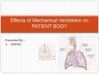 Presented By :-
1) HAIFAA
Effects of Mechanical Ventilation on
PATIENT BODY
 