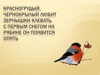 КРАСНОГРУДЫЙ,
ЧЕРНОКРЫЛЫЙ ЛЮБИТ
ЗЕРНЫШКИ КЛЕВАТЬ.
С ПЕРВЫМ СНЕГОМ НА
РЯБИНЕ ОН ПОЯВИТСЯ
ОПЯТЬ
 
