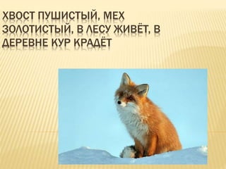 ХВОСТ ПУШИСТЫЙ, МЕХ
ЗОЛОТИСТЫЙ, В ЛЕСУ ЖИВЁТ, В
ДЕРЕВНЕ КУР КРАДЁТ
 