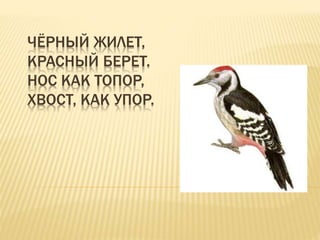 ЧЁРНЫЙ ЖИЛЕТ,
КРАСНЫЙ БЕРЕТ.
НОС КАК ТОПОР,
ХВОСТ, КАК УПОР.
 