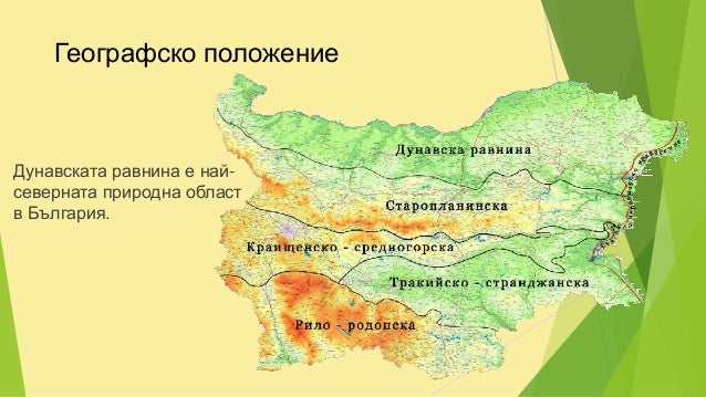 Дунавска равнина
