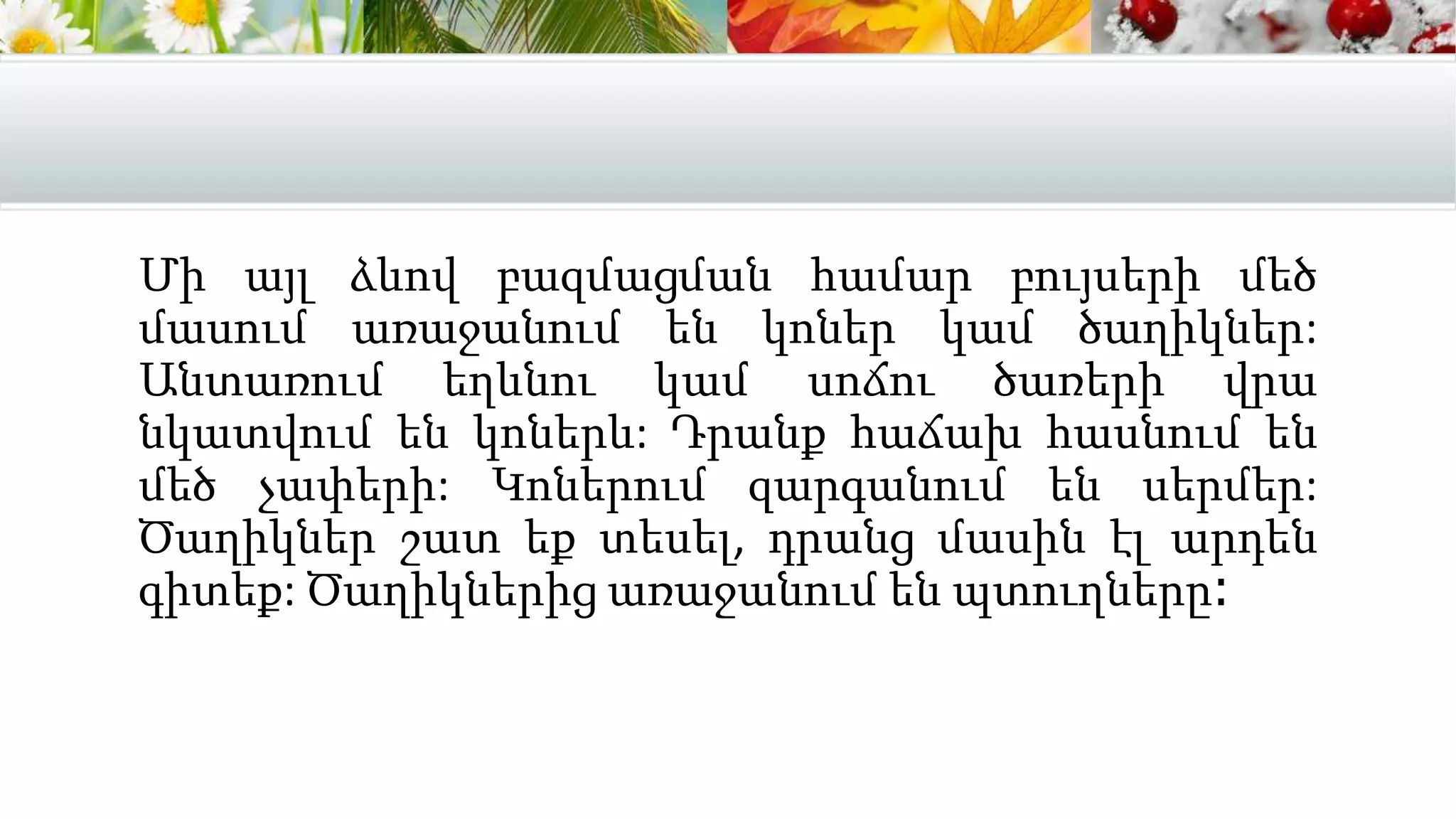 Մի այլ ձևով բազմացման համար բույսերի մեծ
մասում առաջանում են կոներ կամ ծաղիկներ:
Անտառում եղևնու կամ սոճու ծառերի վրա
նկատվում են կոներև: Դրանք հաճախ հասնում են
մեծ չափերի: Կոներում զարգանում են սերմեր:
Ծաղիկներ շատ եք տեսել, դրանց մասին էլ արդեն
գիտեք: Ծաղիկներից առաջանում են պտուղները։
 