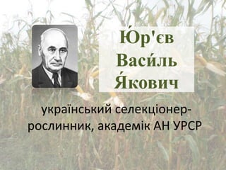 Ю́ р'єв
Васи́ ль
Я́ кович
український селекціонер-
рослинник, академік АН УРСР
 