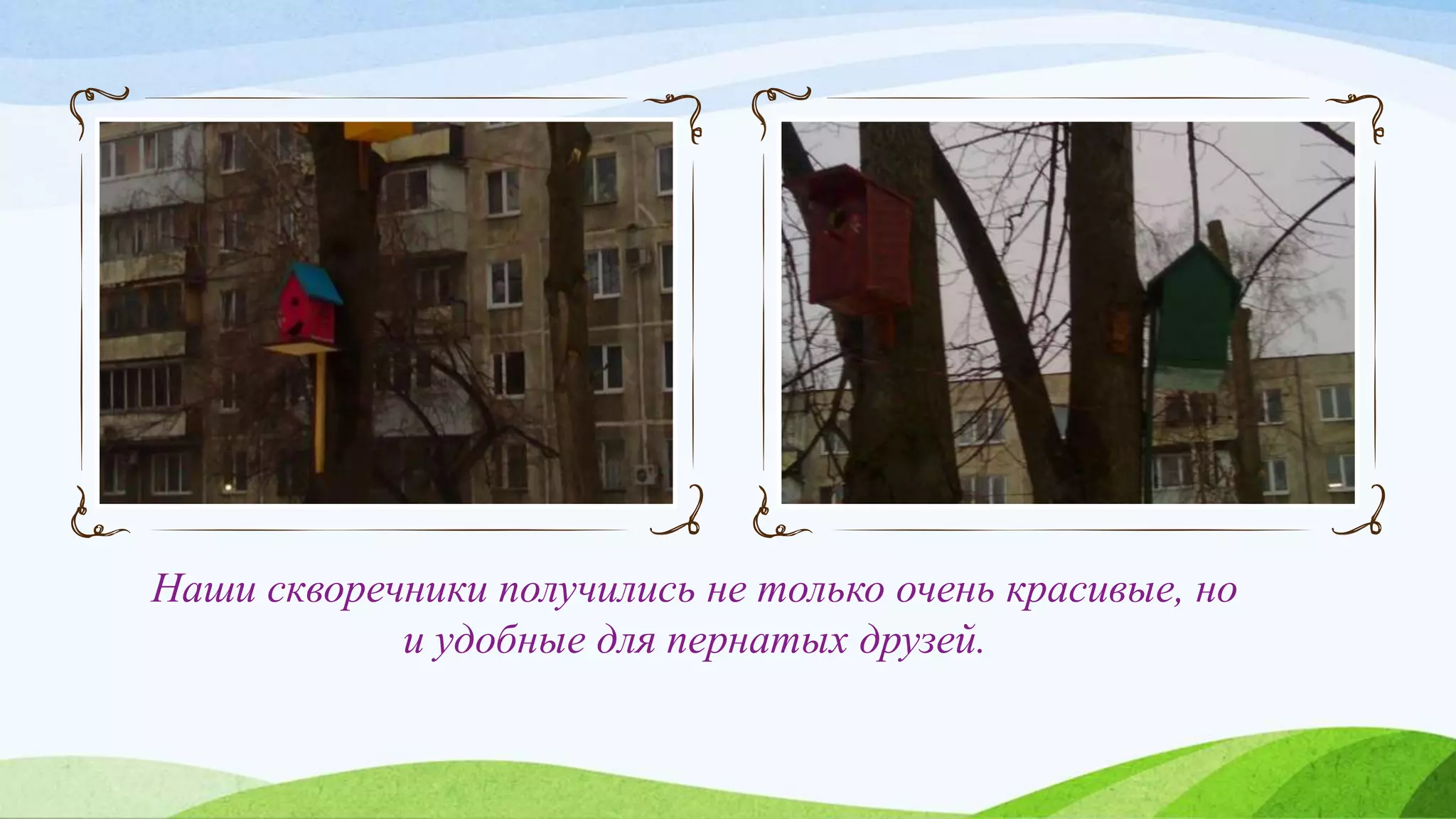 Наши скворечники получились не только очень красивые, но
и удобные для пернатых друзей.
 