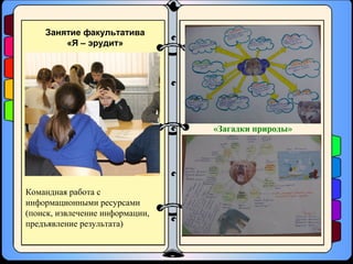 Занятие факультатива
«Я – эрудит»
«Загадки природы»
Командная работа с
информационными ресурсами
(поиск, извлечение информации,
предъявление результата)
 