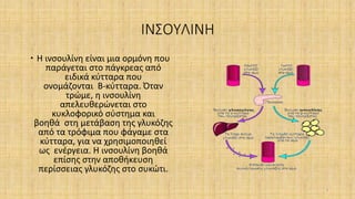 ΙΝΣΟΥΛΙΝΗ
 Η ινσουλίνη είναι μια ορμόνη που
παράγεται στο πάγκρεας από
ειδικά κύτταρα που
ονομάζονται Β-κύτταρα. Όταν
τρώμε, η ινσουλίνη
απελευθερώνεται στο
κυκλοφορικό σύστημα και
βοηθά στη μετάβαση της γλυκόζης
από τα τρόφιμα που φάγαμε στα
κύτταρα, για να χρησιμοποιηθεί
ως ενέργεια. Η ινσουλίνη βοηθά
επίσης στην αποθήκευση
περίσσειας γλυκόζης στο συκώτι.
3
 