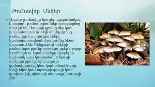 Թունավոր Սնկեր
• Սրանք թունավոր նյութեր պարունակող
և մարդու թունավորումներ առաջացնող
սնկերն են։ Սակայն դրանց մեջ կան
պայմանական ուտելի սնկեր,որոնց
թունավոր հատկությունները
համապատասխան մշակումից հետո
վերանում են։ Կենցաղում սնկերի
թունավորությունը որոշելու գրեթե բոլոր
նշաններն ու եղանակները (կտրելիս
սպիտակ կամ կաթնանման հյութի
առկայությունը, երկնագույն
գունավորումը, կծու կամ տհաճ համը,
սնկի եփուկում արծաթի գդալի կամ
գլուխ սոխի, սխտորի սևանալը) հուսալի
չեն։
 