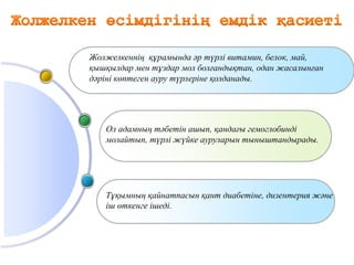 Жолжелкеннің құрамында әр түрлі витамин, белок, май,
қышқылдар мен тұздар мол болғандықтан, одан жасалынған
дәріні көптеген ауру түрлеріне қолданады.
Ол адамның тәбетін ашып, қандағы гемоглобинді
молайтып, түрлі жүйке ауруларын тыныштандырады.
Тұқымның қайнатпасын қант диабетіне, дизентерия және
іш өткенге ішеді.
 