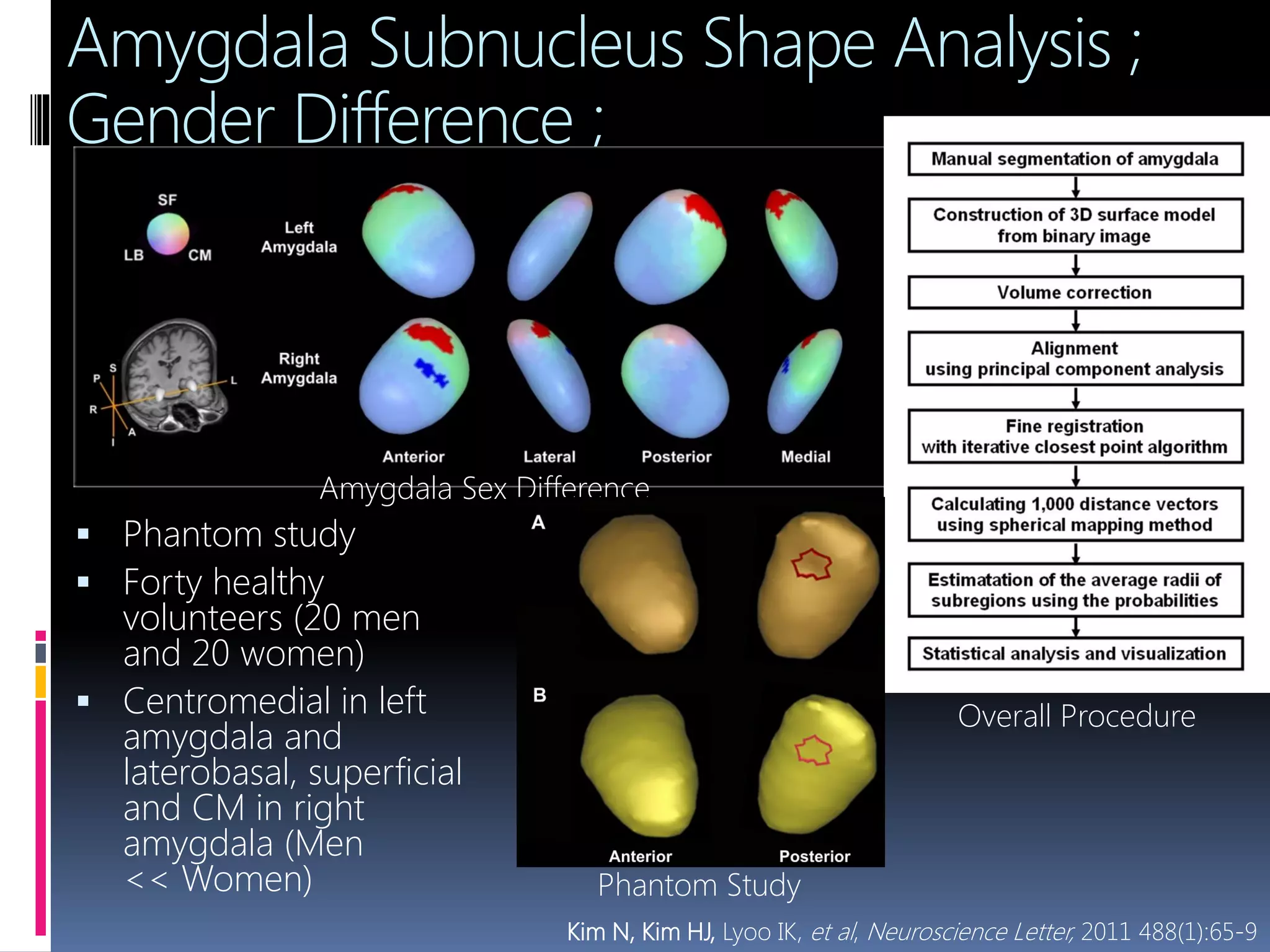 Amygdala Subnucleus Shape Analysis ;
Gender Difference ;
 Phantom study
 Forty healthy
volunteers (20 men
and 20 women)
 Centromedial in left
amygdala and
laterobasal, superficial
and CM in right
amygdala (Men
<< Women)
Overall Procedure
Kim N, Kim HJ, Lyoo IK, et al, Neuroscience Letter, 2011 488(1):65-9
Amygdala Sex Difference
Phantom Study
 