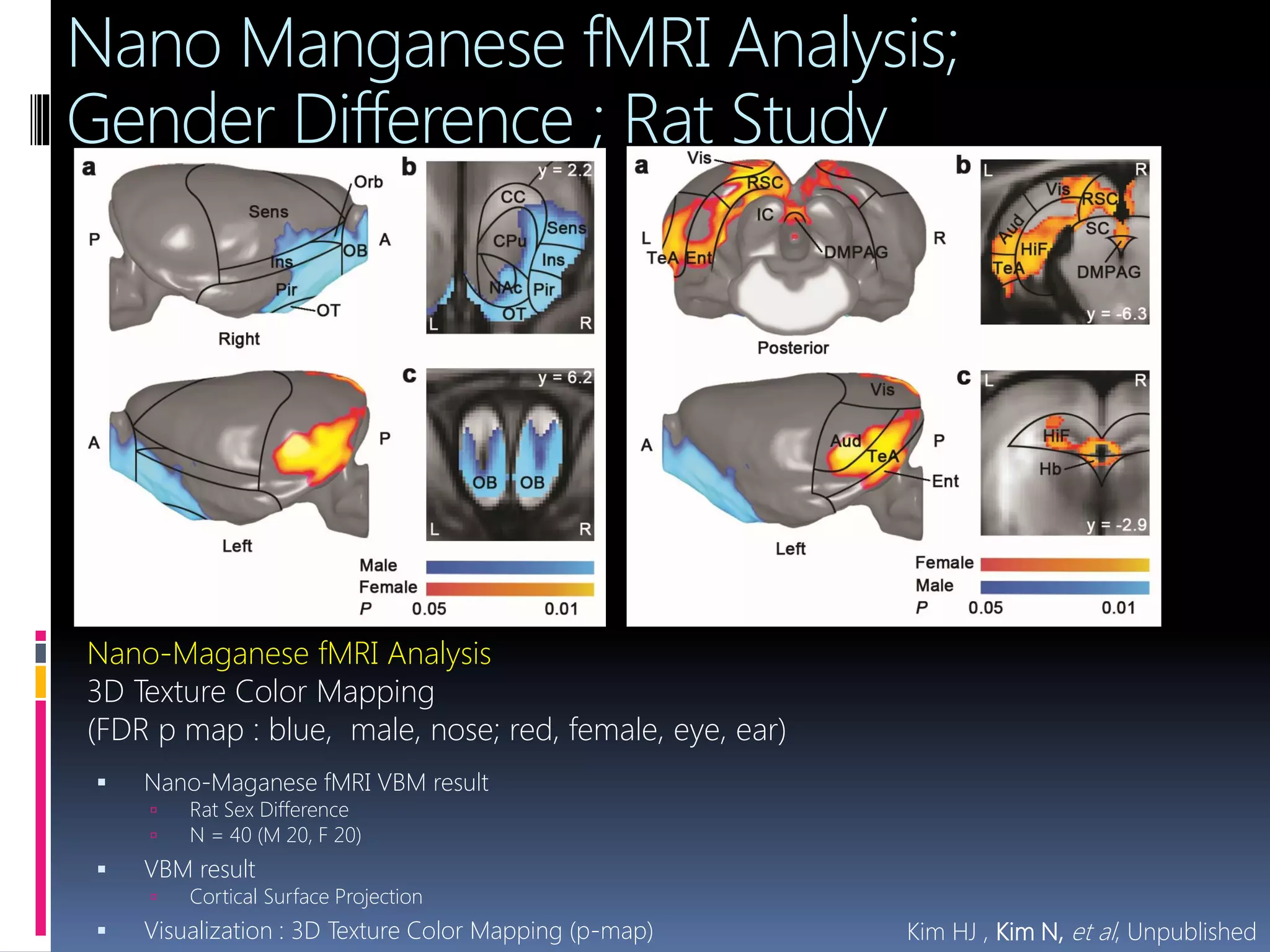 Nano Manganese fMRI Analysis;
Gender Difference ; Rat Study
 Nano-Maganese fMRI VBM result
 Rat Sex Difference
 N = 40 (M 20, F 20)
 VBM result
 Cortical Surface Projection
 Visualization : 3D Texture Color Mapping (p-map)
Nano-Maganese fMRI Analysis
3D Texture Color Mapping
(FDR p map : blue, male, nose; red, female, eye, ear)
Kim HJ , Kim N, et al, Unpublished
 