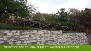 ΦΕΥΓΟΥΜΕ ΑΠΟ ΤΙΣ ΜΗΛΙΕΣ ΜΕ ΤΙΣ ΚΑΛΥΤΕΡΕΣ ΕΝΤΥΠΩΣΕΙΣ
 