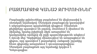 ԲԱԶՄԱԲՋԻՋ ԿԱՆԱՉ ՋՐԻՄՈՒՌՆԵՐ
Բազմաբջիջ ջրիմուռները բազմանում են վեգետատիվ և
սեռական եղանակով։ Սեռական բազմացումը կատարվևմ
է ...