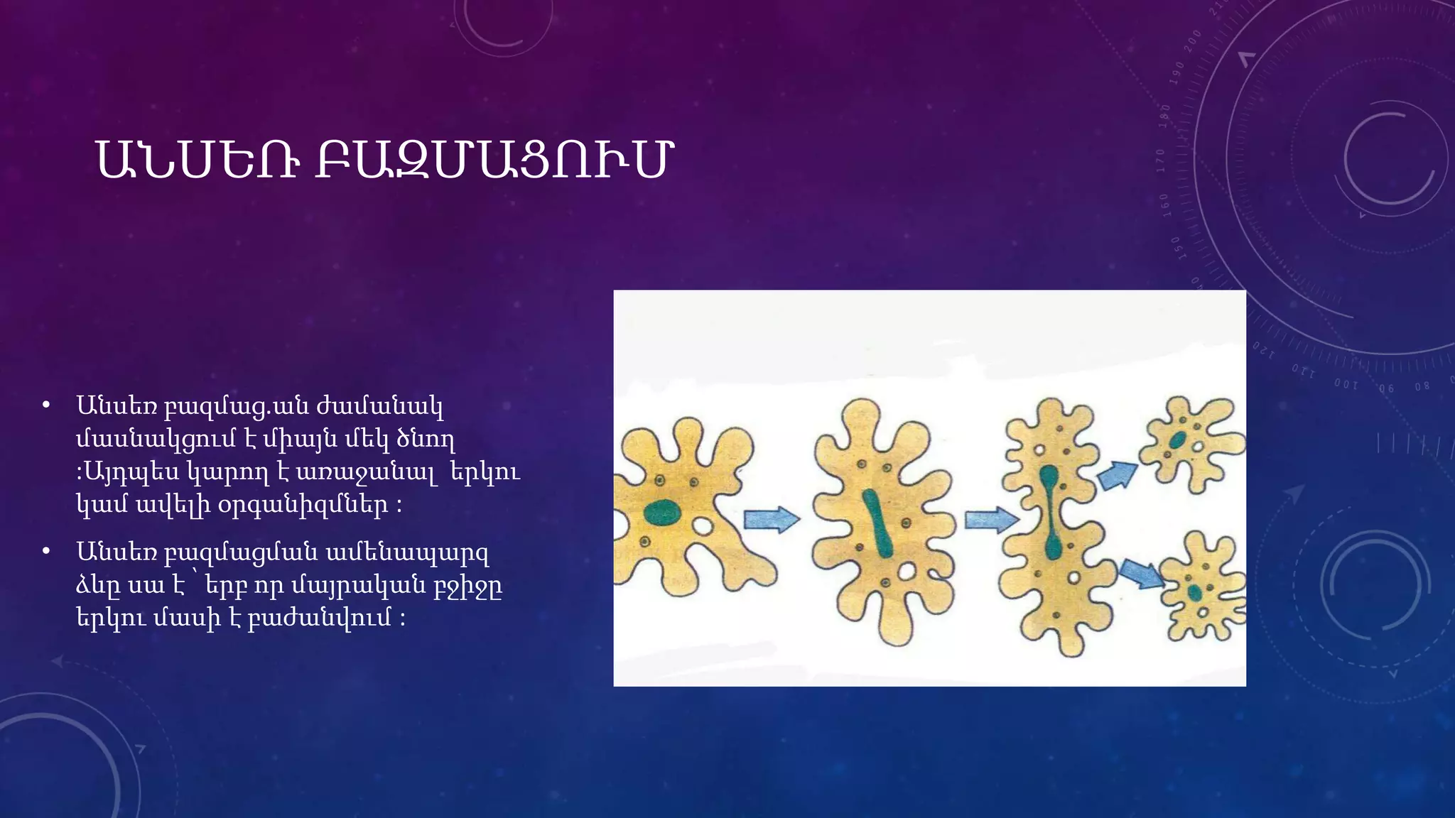 ԱՆՍԵՌ ԲԱԶՄԱՑՈՒՄ
• Անսեռ բազմաց.ան ժամանակ
մասնակցում է միայն մեկ ծնող
:Այդպես կարող է առաջանալ երկու
կամ ավելի օրգանիզմներ :
• Անսեռ բազմացման ամենապարզ
ձևը սա է ՝ երբ որ մայրական բջիջը
երկու մասի է բաժանվում :
 